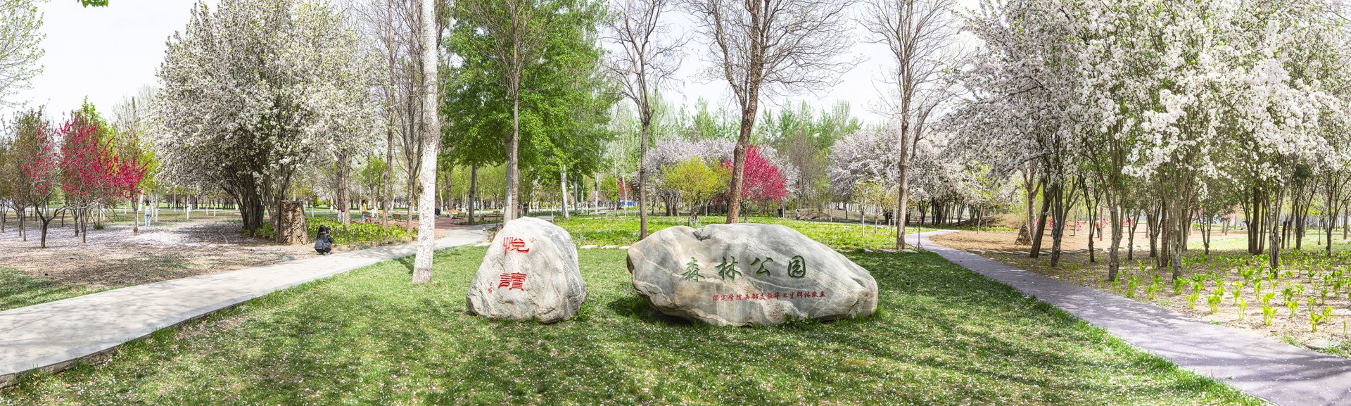 可以打金提现人民币的传奇官方网站入口